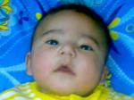 AARIB ALI