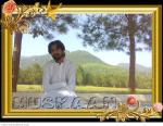 SYED SH