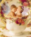 Safwan Raza