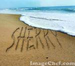 انجینئر! شاہد صدیق خانزادہ