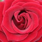 انجینئر! شاہد صدیق خانزادہ