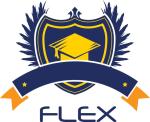 FLEX Consultant
