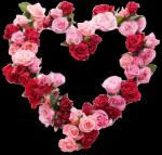 انجینئر! شاہد صدیق خانزادہ