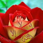 انجینئر! شاہد صدیق خانزادہ